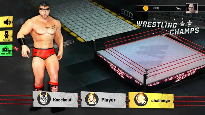 Tag Wrestling android App screenshot 1